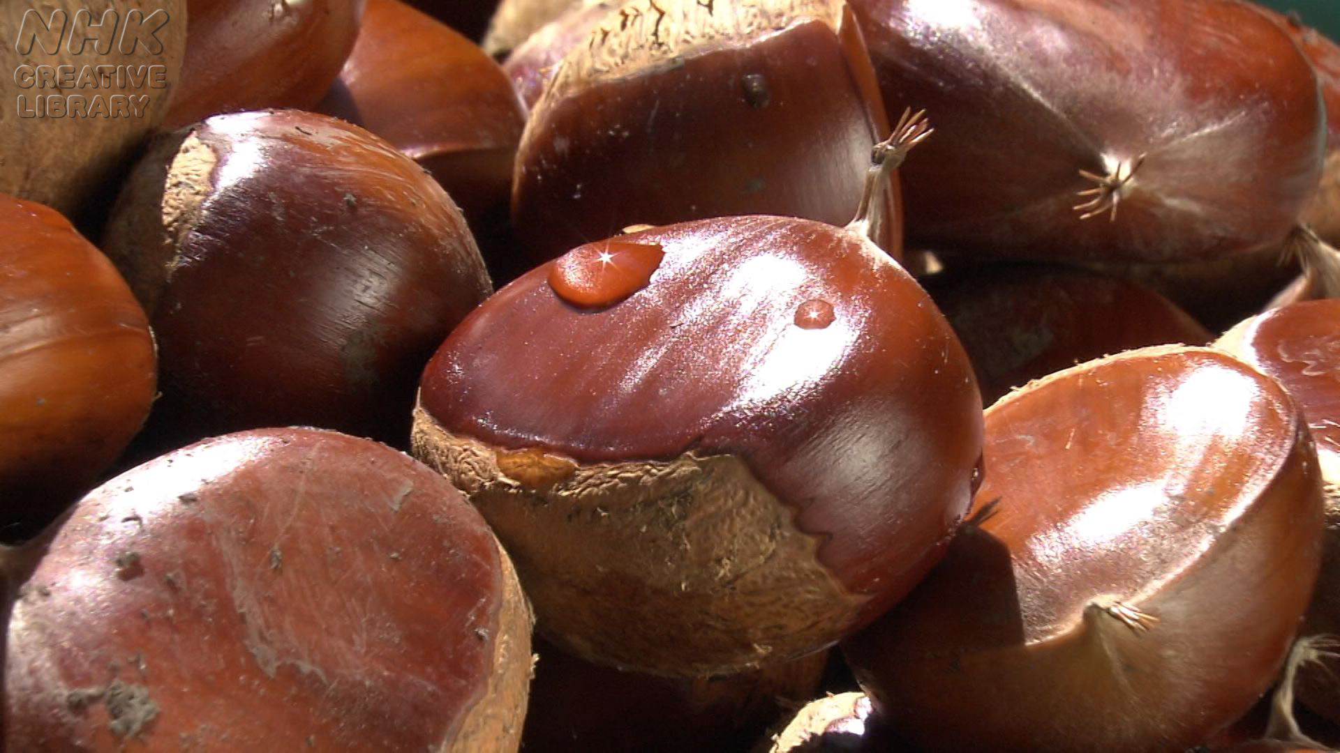 ppppppppppppppppppppppp